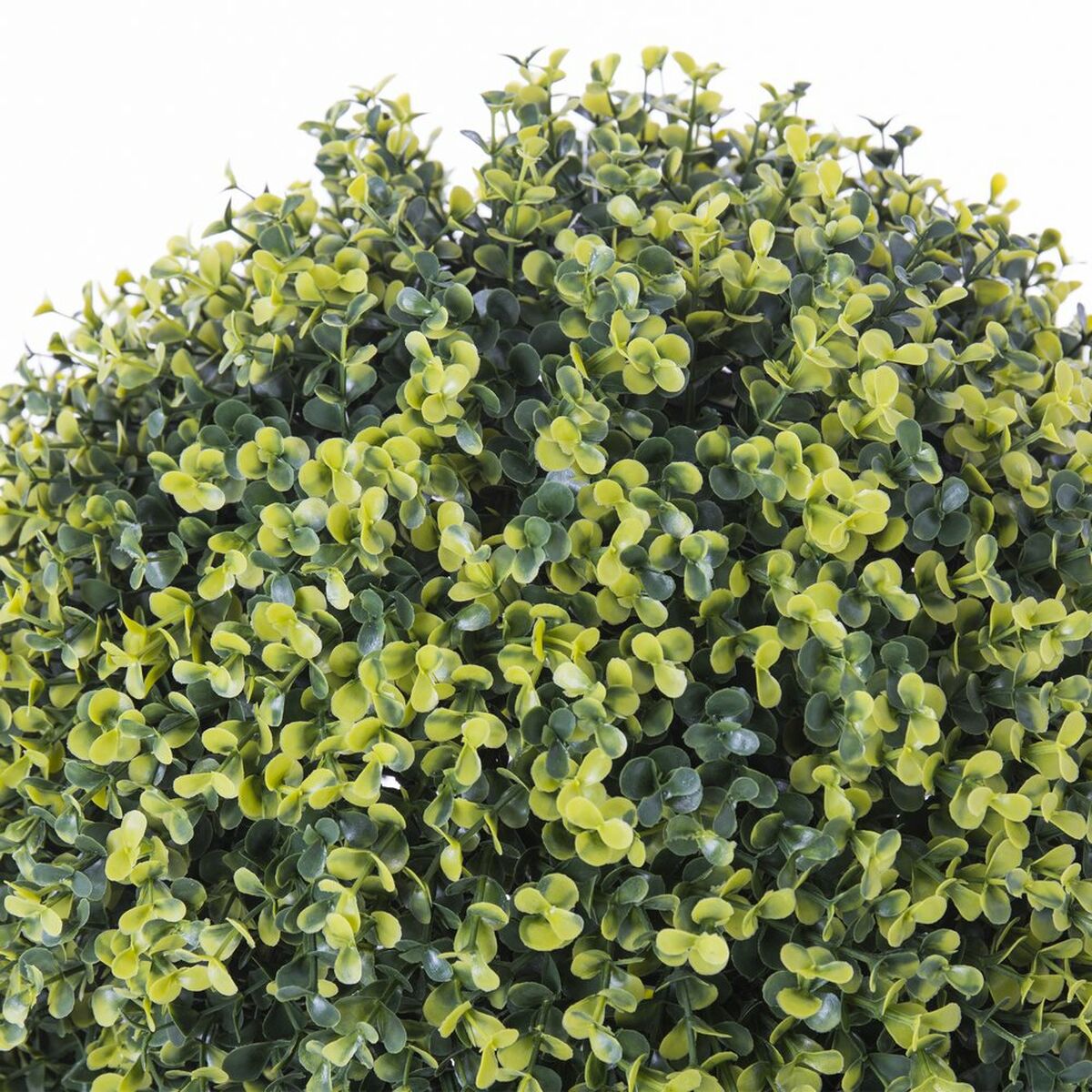 Decorative Plant Ball Spring 20 x 20 x 20 cm